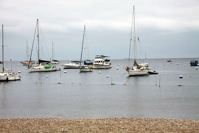 Sailboats moored on sea against sky