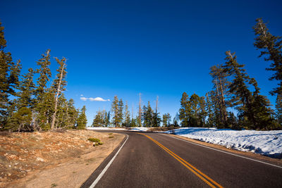 Empty road amidst trees against clear blue sky