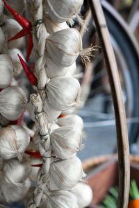 Close-up of garlic bulbs