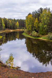 Scenic view of lake by trees against sky