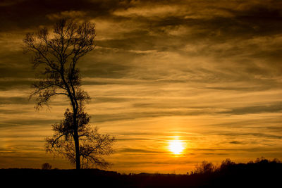 Silhouette trees on landscape against orange sky