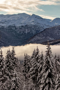 Julian alps in winter