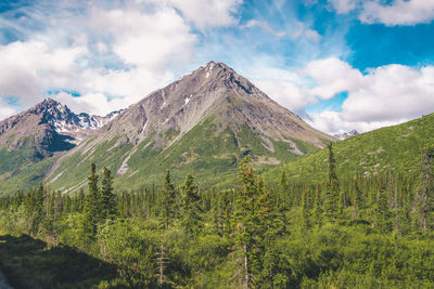 Denali national park, alsaka, nature, landscape, wilderness