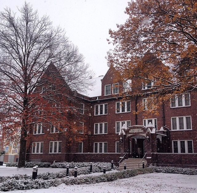 snow, winter, cold temperature, building exterior, architecture, season, built structure, tree, bare tree, weather, covering, house, residential building, residential structure, frozen, nature, covered, branch, outdoors, day