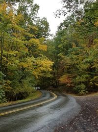 Road amidst trees against sky