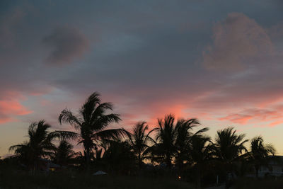 Silhouette palm trees against sky during sunset