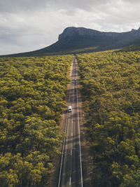 Scenic view of road amidst plants against sky