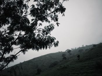 Scenic view of mountain against clear sky
