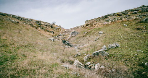 Scenic view of landscape against sky