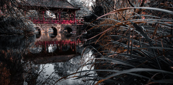 Reflection of bare trees on river against building