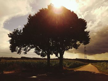 Silhouette of trees on field against cloudy sky