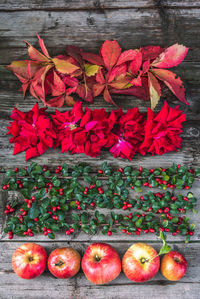 High angle view of red berries and leaves on table