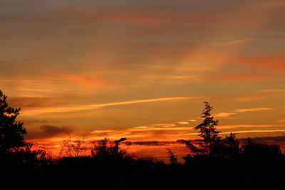 Silhouette trees against orange sky