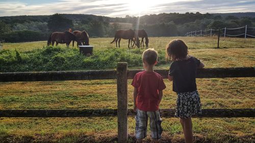 Two children watching horses in a meadow