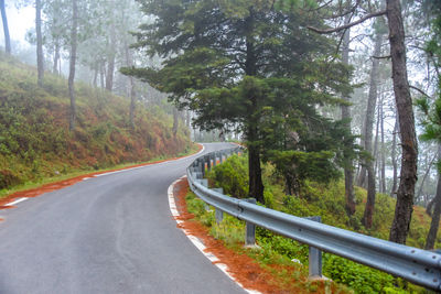 Road passing through forest