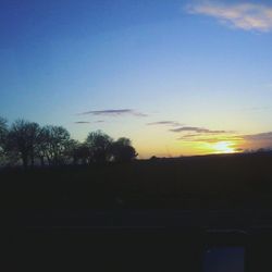 Silhouette of trees at sunset