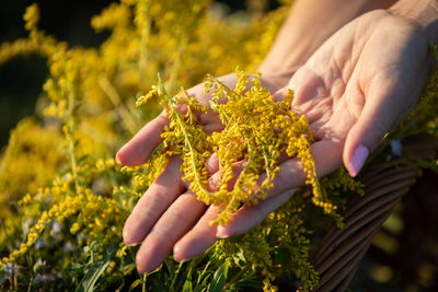 Midsection of woman holding flowers