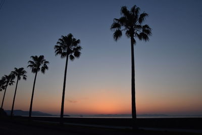 Silhouette palm trees against sky during sunset