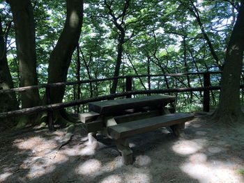 Empty bench in forest