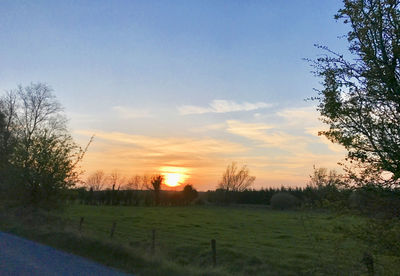 Scenic view of field against sky during sunset