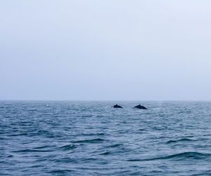 View of sea against sky