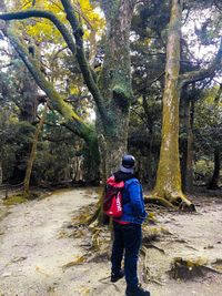 Rear view of man and woman walking in forest