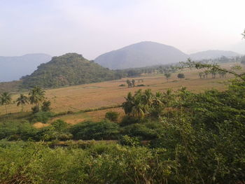 Scenic view of landscape against sky