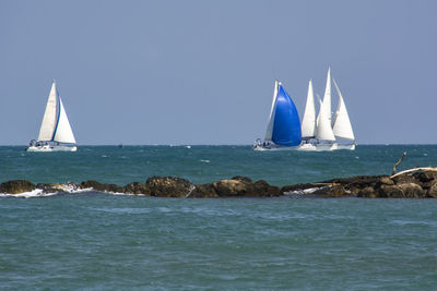 Sailboat sailing in sea against clear sky