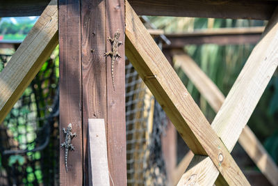 Close-up of wooden fence