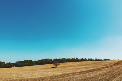 Scenic view of agricultural field against clear blue sky