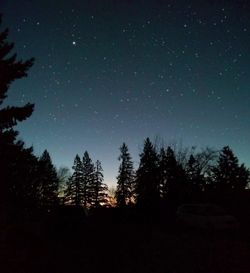 Silhouette trees against sky at night