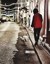 Rear view of woman with dog walking on sidewalk