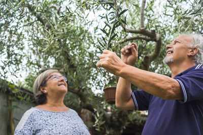 Smiling couple looking at tree