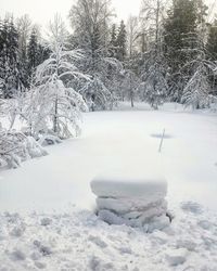 Snow covered land and trees on field during winter