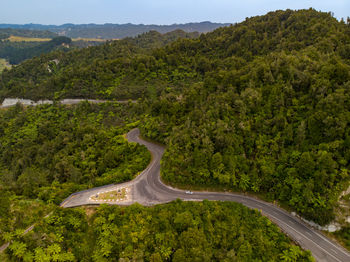 High angle view of road amidst trees in forest