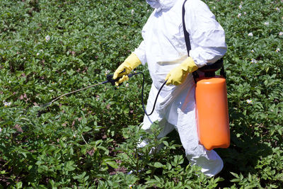 Midsection of man praying pesticides on vegetable