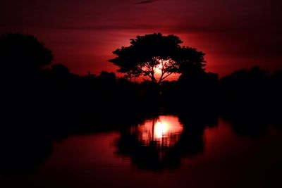 Silhouette trees by lake against sky at night