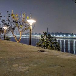 Illuminated trees by lake against sky at night