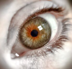 Extreme close up of human eye