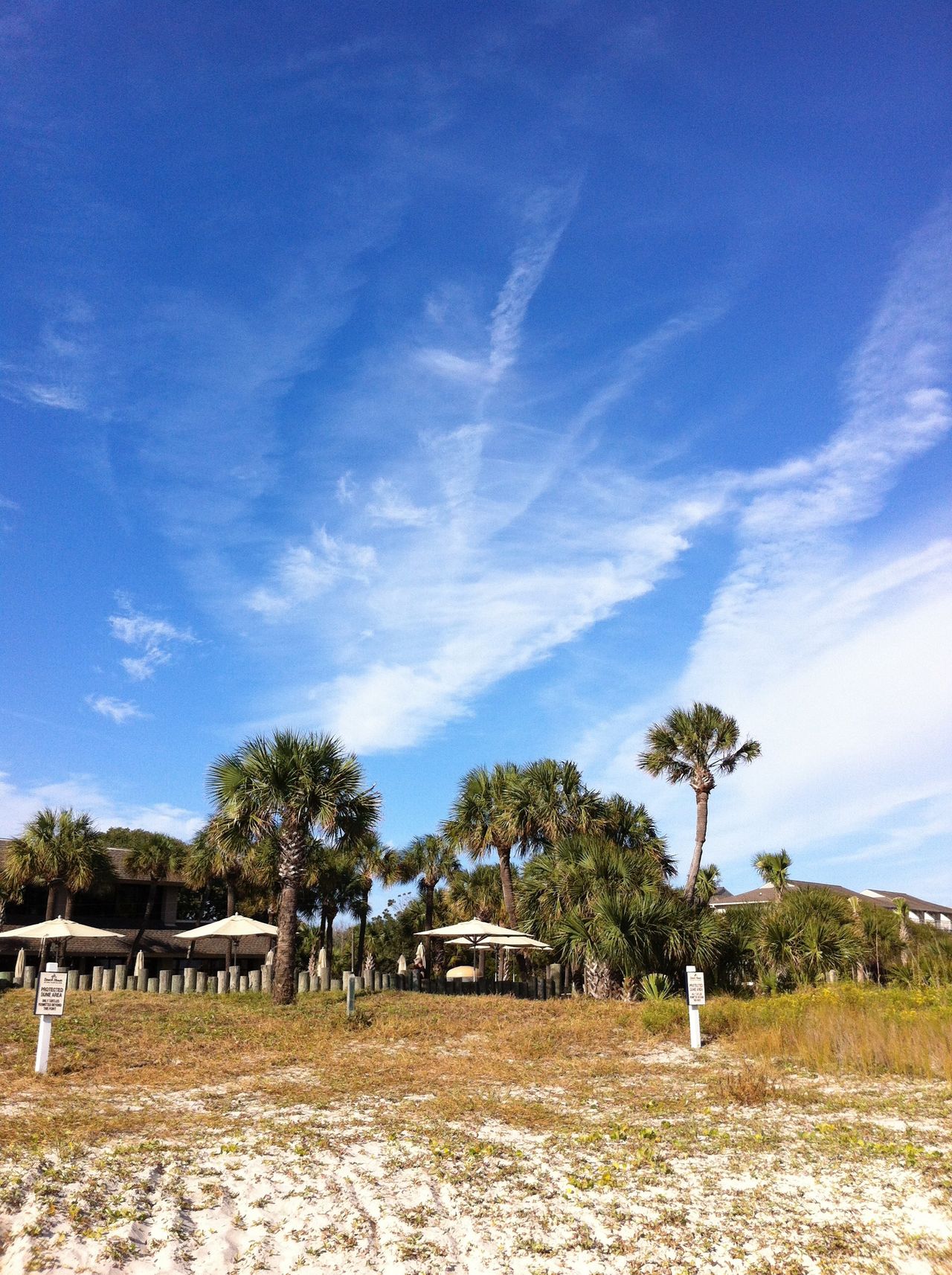 Forest Beach