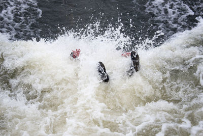 High angle view of person swimming in river