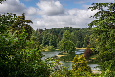 Scenic view of river in forest against sky