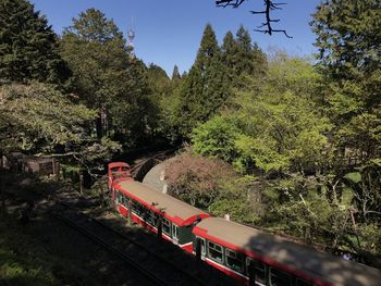 Alishan national forest recreation area 