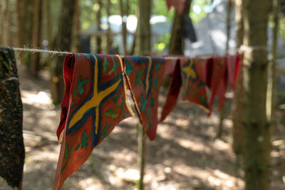 Close-up of clothes drying on rope in forest