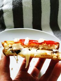 Close-up of hand holding food