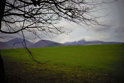 Scenic view of green landscape against sky