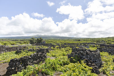 Scenic view of landscape against cloudy sky