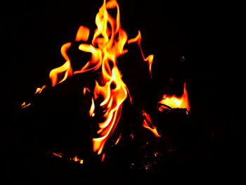 Close-up of fire at night