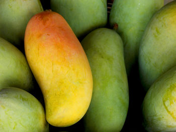 Full frame shot of oranges