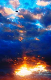 Silhouette bird flying against dramatic sky